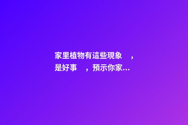 家里植物有這些現象，是好事，預示你家要發大財了！
